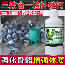 Hannover pigeon medicine calcium phosphorus essence competition pigeon enhanced bone supplement phosphorus calcium nutrition health products bird parrot
