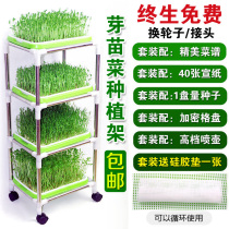 Discount paper vegetable rack Stainless steel multi-layer hydroponic rack Sprout planting plate Double-layer seedling plate tray