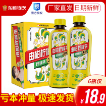 Dongpeng beverage by citrus lemon tea 330ml * 6 bottles of freshly squeezed lemon oil tea beverage Yang Zi endorsement