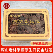 Shengren Tang pure native flowering Anoectochilus dry 20g gift box Fujian Nanjing deep mountain old forest picking no mud