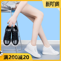  Inner height-increasing womens shoes 2021 summer new all-match thin breathable hollow small size 313233 casual white shoes women