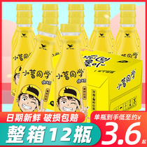 Uni Xiao Ming classmate cold tea lime black tea 330mlx12 bottle whole box fruity tea beverage lime black tea