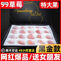 Dandong 99 milk strawberry fresh net red black gold version courtesy of bottled water fruit Christmas cream red 1589