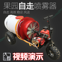 Orchard Garden Self-Walking Style Wind Send Drugmaker Grape Petrol Sprayer Mimist Machine Fruit Tree Peach Tree Diesel Power