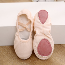 Adult childrens dance shoes durable for boys and girls dance shoes ballet shoes soft-soled cats claw shoes training shoes shape