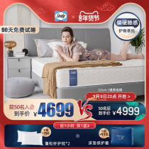 Sealy silk Lianmei sense spring mattress hardmat star travel luxury five-star hotel Simmons