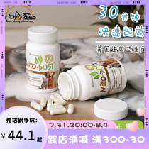 Shelf life 23 years US Mito5051 probiotic pet cat dog diarrhea soft defecation and vomiting young dog conditioning