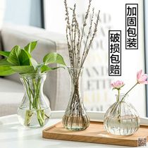 Living room glass art container office breeding bedroom colorful bottle subnet plant transparent flower decoration