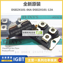  Module DSEI2X121-02A DSEI2X101-06A DSEI2X101-12A DSEI2X61-12B