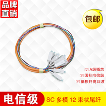 Telecom Class SC 12 Core Multimode beamshaped tail fiber UPC generous slim fiber 62 5125 Cluster tail 9 0