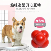 Teach dog artificial pet toys grinding teeth resistance training rubber ball interacting with puppy puppy large dog