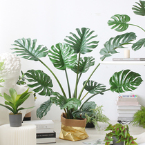 Sicilian emulation green-planted tortoise back bamboo potted Nordic ins home ground plant pendulum shop restaurant ostomy