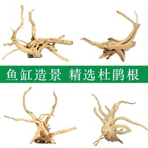 Aquarium fish tank root sinking Wood grass tank natural micro landscape landscape ornaments decoration tie water Banyan Mose