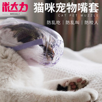 Small young kitty headgear anti-bite hood transparent dog mouth bath shaved hair cut nail licking Elizabeth adjusting neck