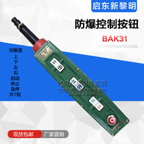 Qidong New Dawn explosion-proof control handle BAK31 type explosion-proof handle Explosion-proof aviation crane push button switch