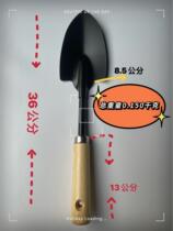 Wooden handle gardener gardening four pieces of cargo handle planting shovel with pine soil hoe and small rake two-use pointed hoe