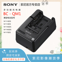  Sony BC-QM1 Original charger FV70 100A Seat charger ax60 45 AX700 AX100E 40
