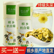 Chrysanthemum tea Hangbai chrysanthemum authentic Tongxiang head picking special canned bulk Hangzhou white chrysanthemum tea Gongju new flower