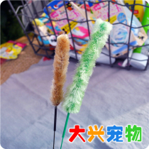 Dogman Cattyman dog tail grass cat stick Meow dont come touch my body] 2 outfit