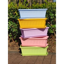 Strawberry Basin Vegetable Growing Box Plastic Theorizer Rectangular Strip Picking Basket Special Balcony Home Potted Plant