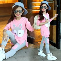 Girls autumn clothing spring clothing 2020 childrens foreign style new long sleeve two-piece medium-size childrens casual clothes