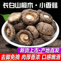 Changbaishan dried mushrooms dried mushrooms 250g premium wild fresh basswood small mushrooms flower mushrooms in bulk