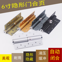 Invisible door closer hydraulic buffer spring automatically shut door positioning hingebackhinge background door