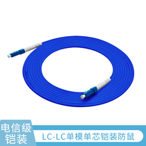  Carrier-grade 10 Gigabit single-mode single-core armored fiber optic jumper LC-SC-FC-ST anti-rat tensile 1m 2m 3m