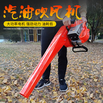 Portable greenhouse snow blower Wind fire extinguisher Forest fire blower Road gasoline hair dryer Leaf dust