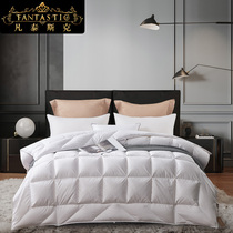 Imported pure white 95% with suede white goose down duvet Thickened Double Warm Quilt with Core Quilt Bedding