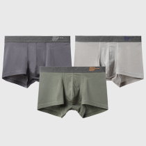 Fenteng FTKK underwear mens square pants head cotton thin section boys simple trend summer flat pants pants large size