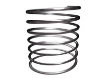 Stainless steel spring stainless steel H71 check valve spring custom check valve spring