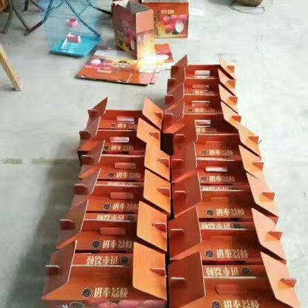 The fairy goes into the HGS truth.