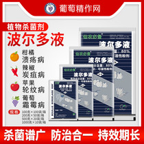 American Sannon essential Bordeaux liquid grape downy mildew pepper anthracnose tobacco wildfire pesticide fungicide