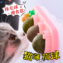 Catnip ball cat candy licking fun cat stick resistant to bite bite kitten snack cat toy self-Hi artifact