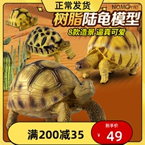 Tortoise model Q version model Yadasuka da star tortoise radiation leopard tortoise simulation land tortoise model pendulum piece