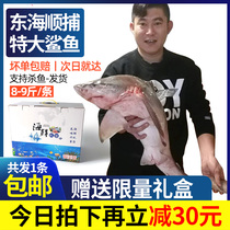 Zhoushan fresh shark 8-9kg Donghai gift box Ningbo fresh live shun catch non-white shark frozen seafood aquatic products