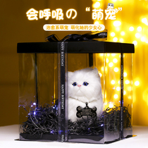 Girls birthday gift to girlfriend girlfriend girlfriend girlfriend practical cat Mengdou upscale New Years Valentines Day
