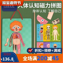 mideer Milu Childrens Human Cognitive Hanging Board Baby Magnetic Sticker Early Education Educational Toy 3 Years Old