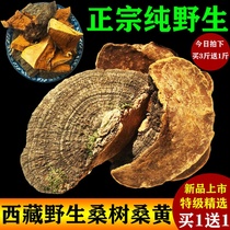  The efficacy of wild mulberry mulberry yellow blocks in Tibet Autonomous Region Authentic Tong Ren Tang premium mulberry yellow bacteria non-500g