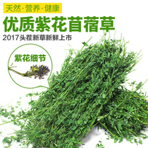 Food of the Dutch pig food for alfalfa rabbit rabbit hay dragon cat