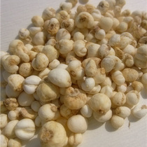 Pearl Bedmother 50 gr Chinese herbal medicine no sulphur pure natural wild non-Sichuan fritillary powder natural small bermother