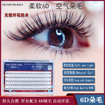Yan Zhenfang grafted eyelashes hair super soft mink natural simulation planting Net Red single cluster 6D false eyelashes