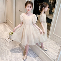 Next win girl dress 2021 summer new middle and big baby bubble sleeve princess dress children lace mesh dress