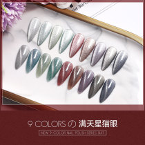 Elano Full Star Cat Eye Nail Polish Glue 2022 New Pop Color Ice crystal 100 Cat Eyes Meme Chia