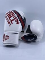 Germany GREENHILL imports UNIQUE series of adult sanda Muay Thai fight training sandbag gloves
