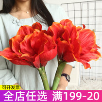 Fake flowers and hooded Zhu top red emulation Flower Hongyun to be used as a head ancient dress wind long pole hanfu to take pictures of props flowers