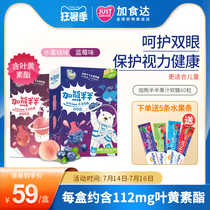 Add bear half and half lutein ester imported fruit juice fudge Childrens eye protection protection vision myopia Non-patented blueberry flavor