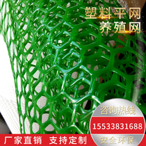 Plastic Grid Balcony Protection Anti-Fall Capture Sheet Green Breeding Leaking Manure Raised Chicken Glue Net Fence Pet Anti-Escape Net
