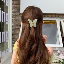 Korean tie frosted jelly color transparent butterfly catch spring and summer sweet and beautiful teenage girl rear brain spoon half-Zarb grip ultra-fairy butterfly